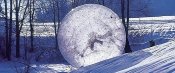 Zorbing-na-snehu